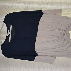 Market & Spruce Navy and Tan Blouse